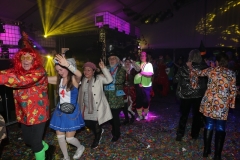 Carnaval Zaterdag 2023 door Frans Selles